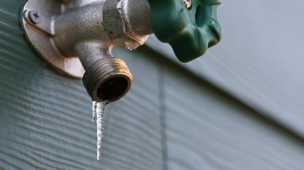 Best Leak Detection Services  in Fairbury, IL