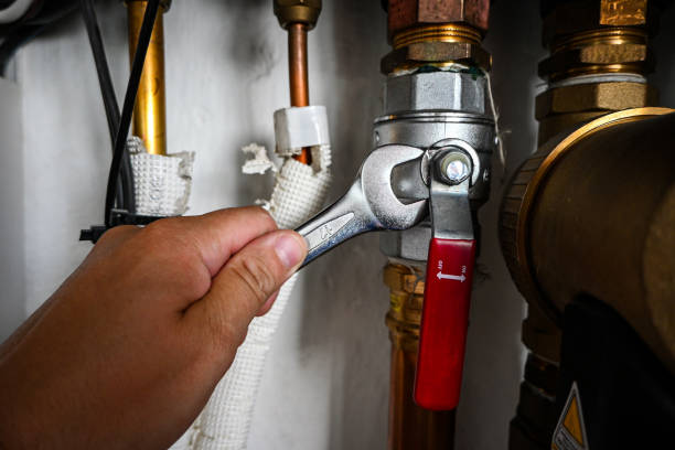 Best Emergency Plumber  in Fairbury, IL